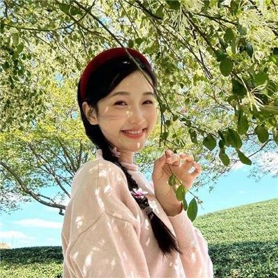 海绵宝宝的故事